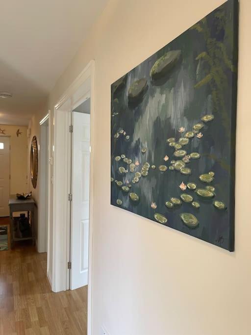 Hibiscus House Βίλα Shilton  Εξωτερικό φωτογραφία