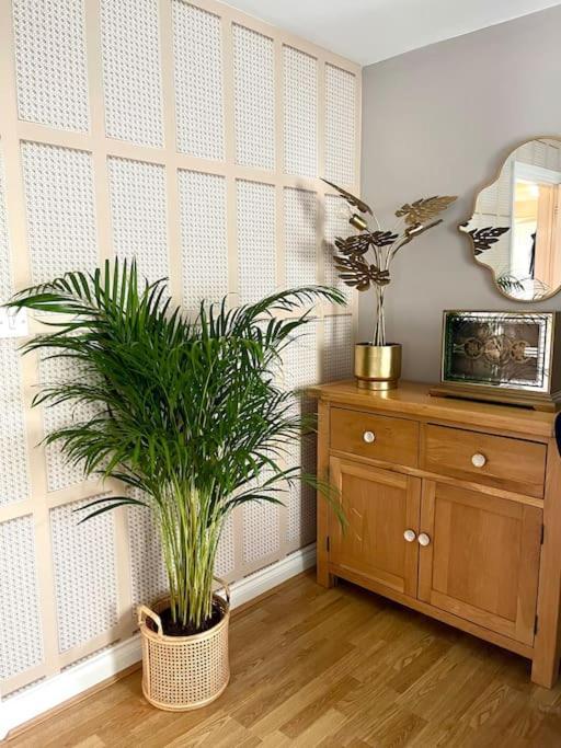 Hibiscus House Βίλα Shilton  Εξωτερικό φωτογραφία